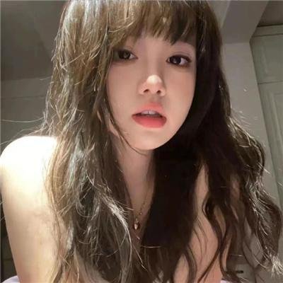 高速路上一只猫