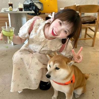 梦女孩
